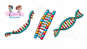 Oligonucleotide Synthesis Market